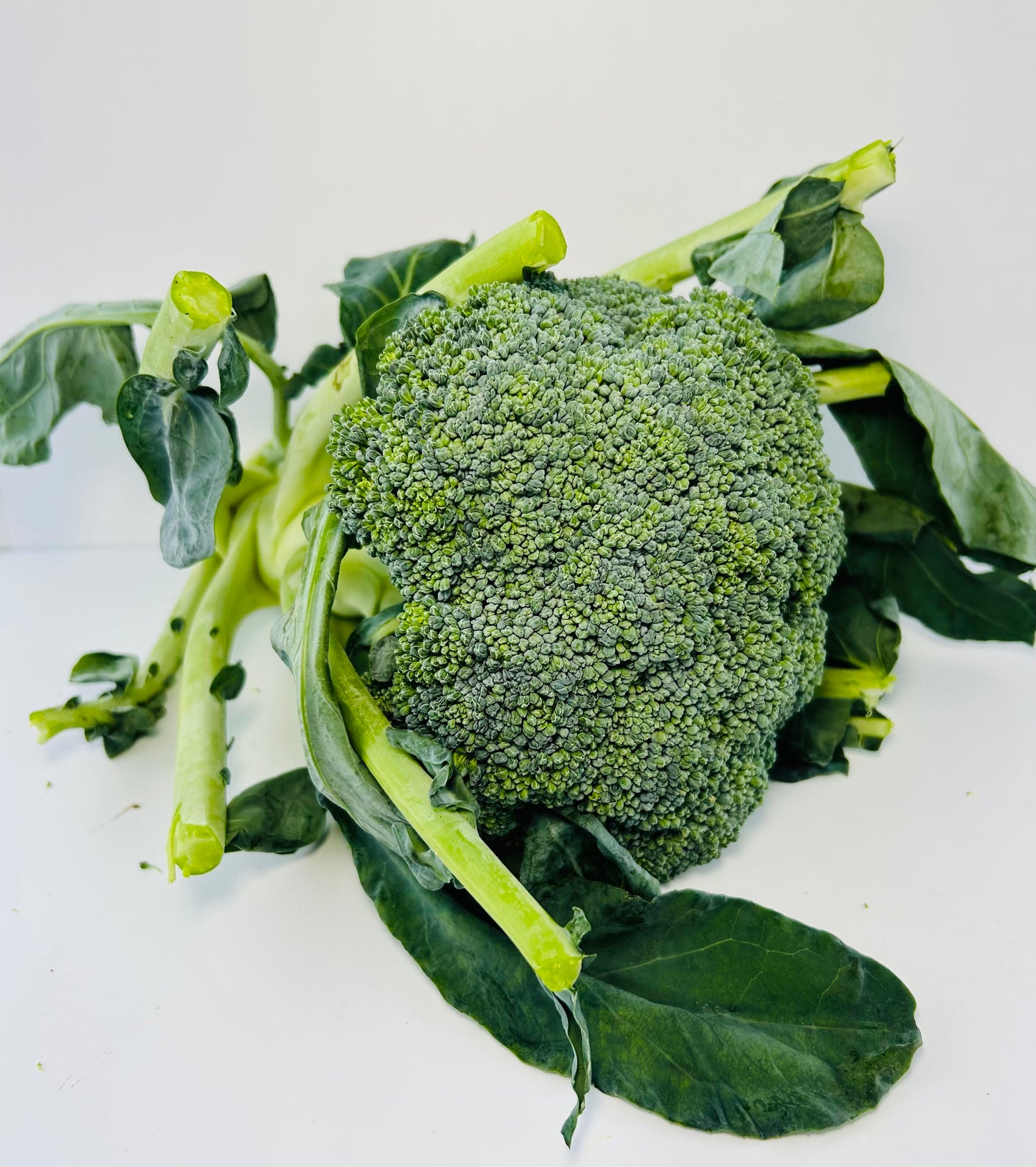 Broccoli