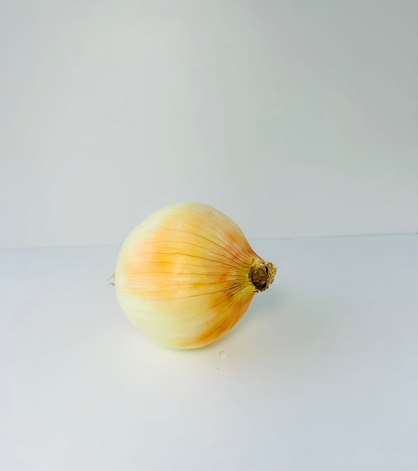 Onion: Spanish