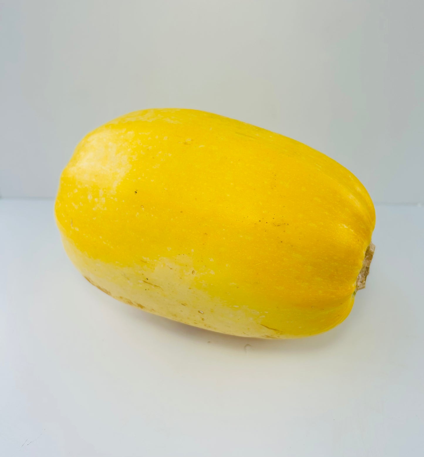 Squash: Spaghetti