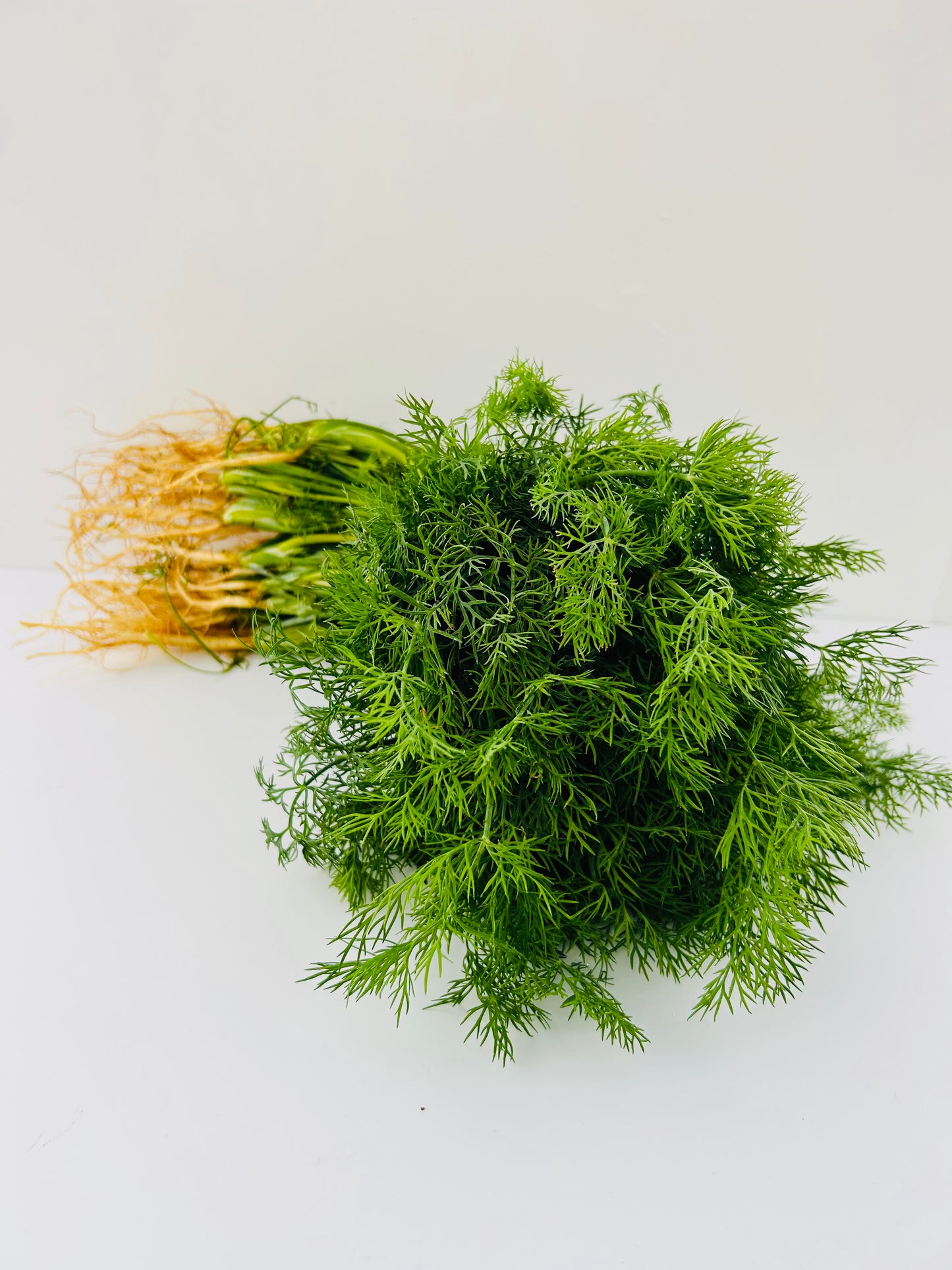 Dill