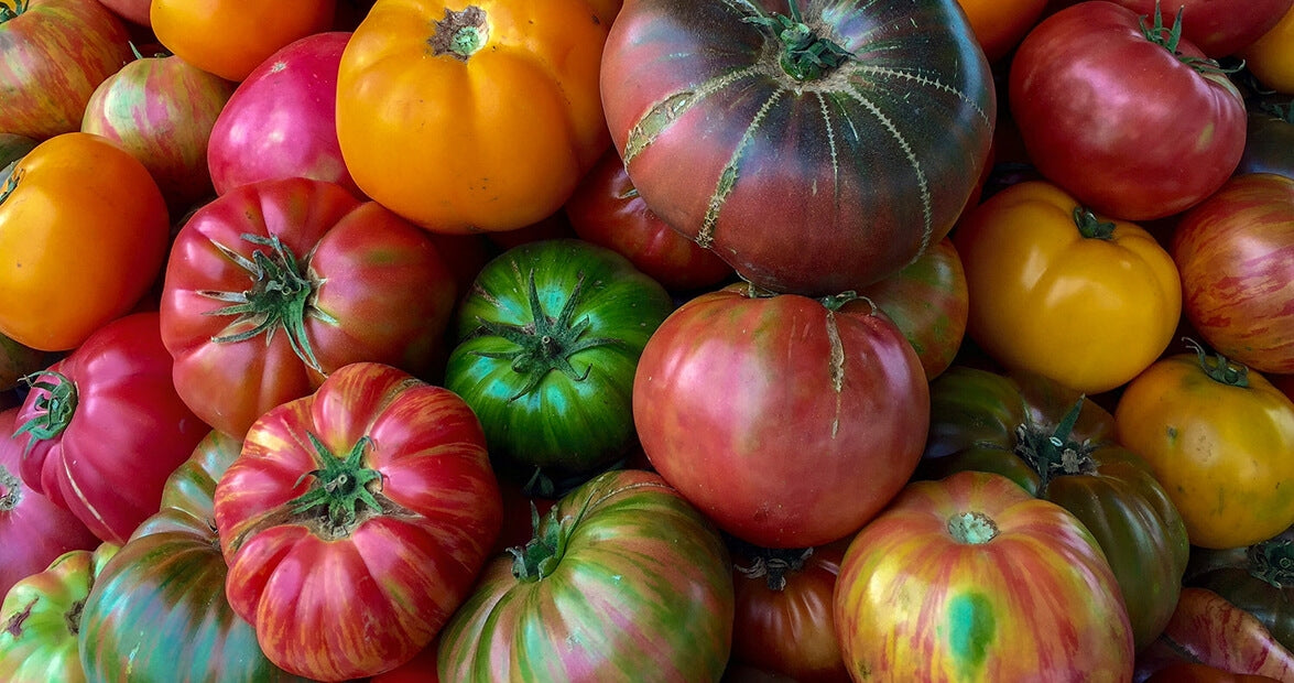 Heirloom Tomatoes