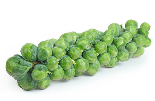 Brussel Sprouts Stalk